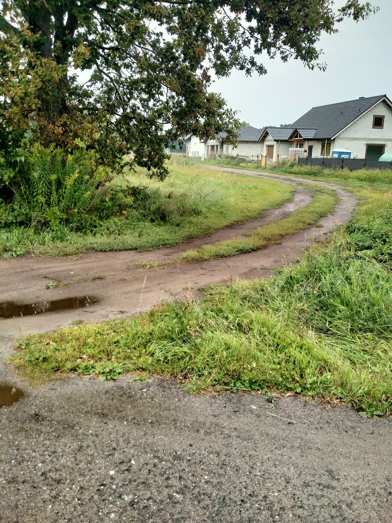 Działka na sprzedaż Niekłończyca 5 000 m2 | Arka Nieruchomości