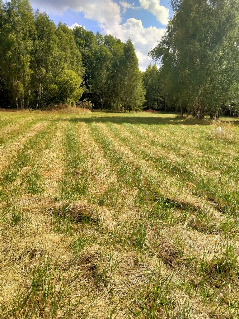 Działka na sprzedaż Grzepnica 3 179 m2 | Arka Nieruchomości