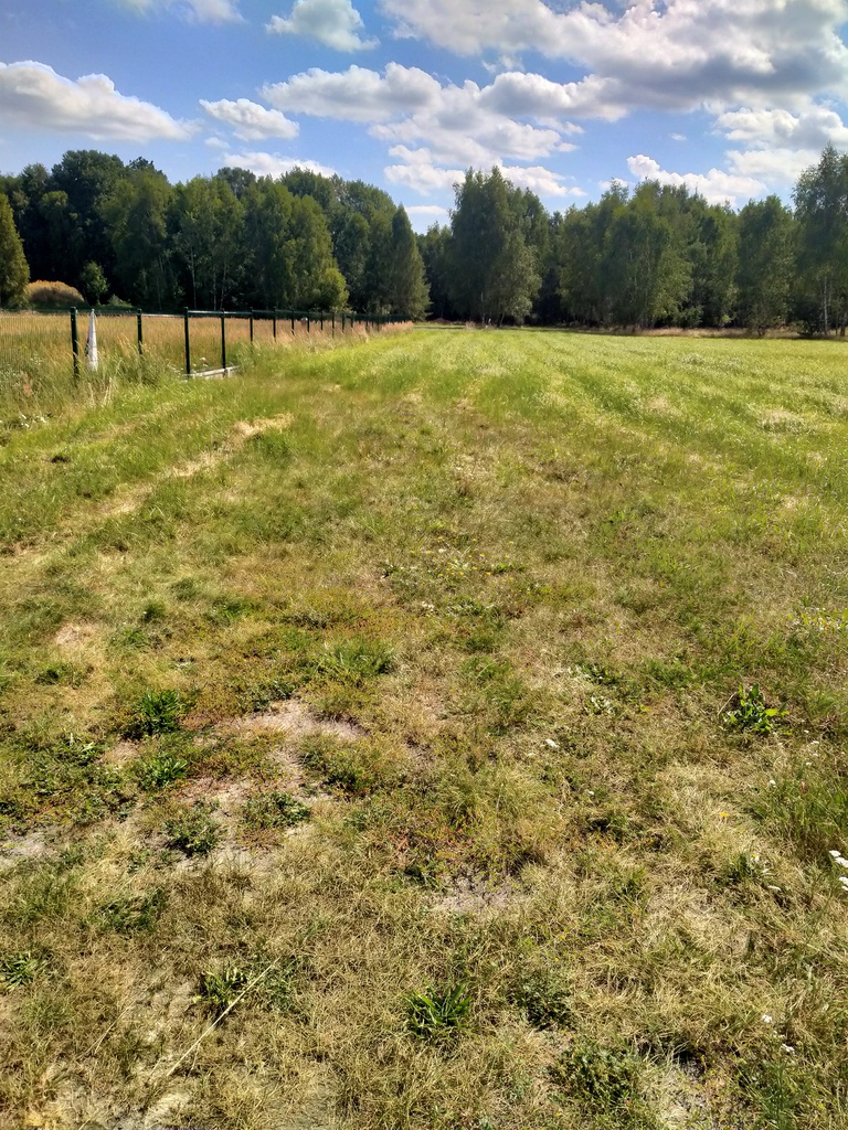 Działka na sprzedaż Grzepnica 3 179 m2 | Arka Nieruchomości