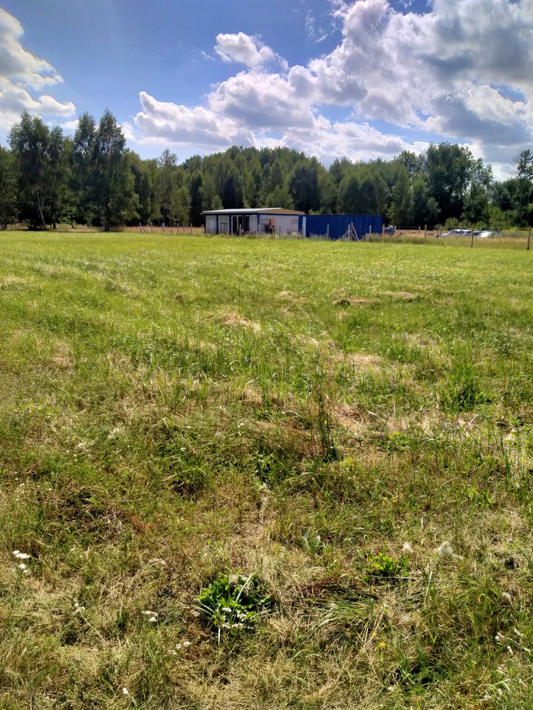 Działka na sprzedaż Grzepnica 3 179 m2 | Arka Nieruchomości