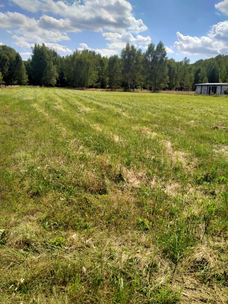 Działka na sprzedaż Grzepnica 3 179 m2 | Arka Nieruchomości