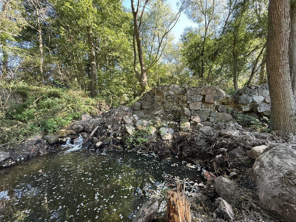 Działka na sprzedaż Stawno 29 200 m2 | Arka Nieruchomości