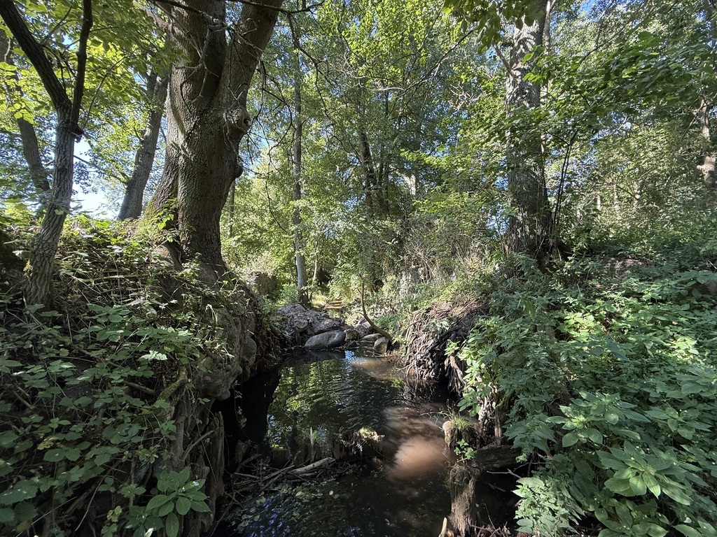 Działka na sprzedaż Stawno 29 200 m2 | Arka Nieruchomości