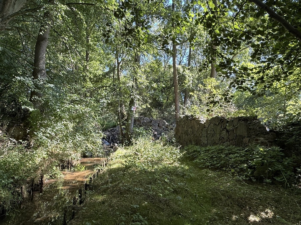 Działka na sprzedaż Stawno 29 200 m2 | Arka Nieruchomości