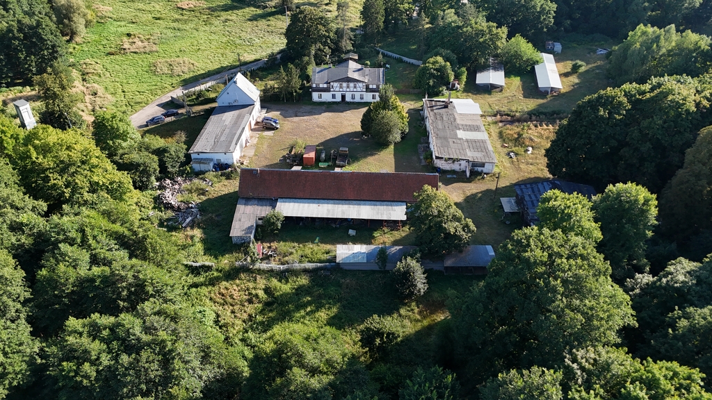 Dom na sprzedaż Sierakowo 1 000 m2 | Arka Nieruchomości