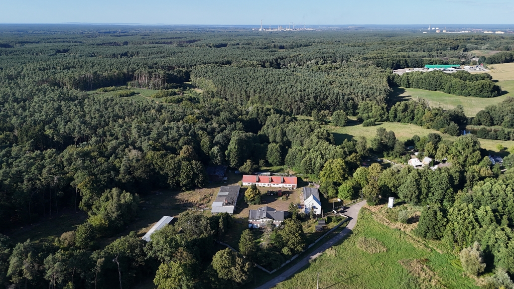 Dom na sprzedaż Sierakowo 1 000 m2 | Arka Nieruchomości