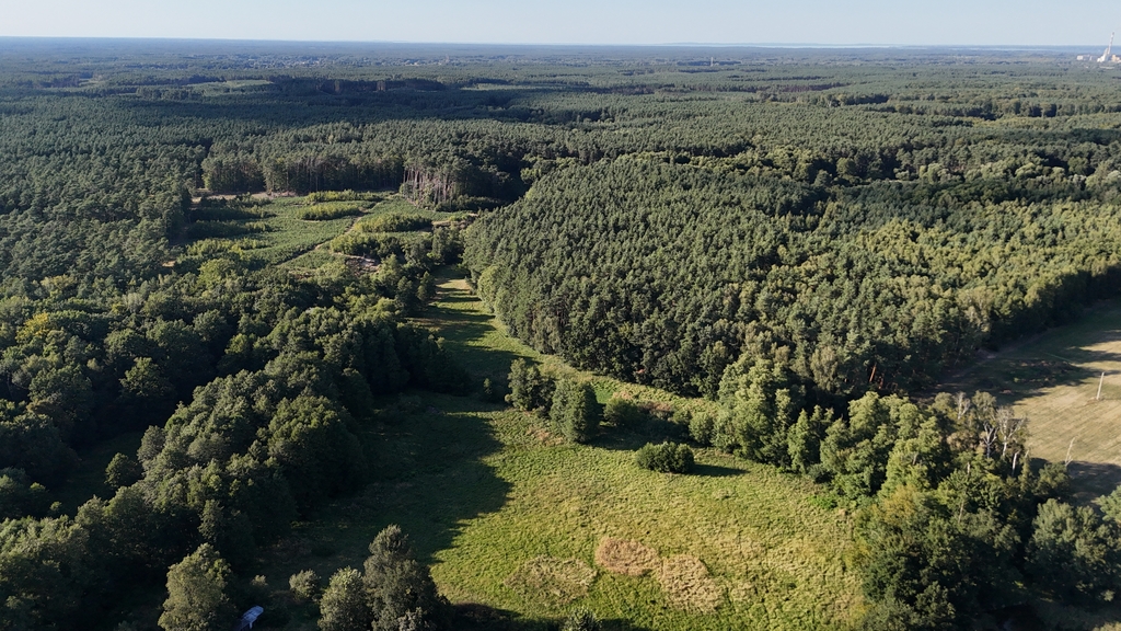 Lokal na sprzedaż Sierakowo 1 240 m2 | Arka Nieruchomości
