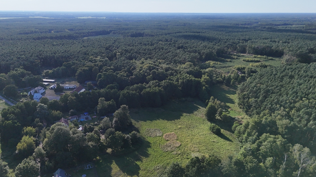 Lokal na sprzedaż Sierakowo 1 240 m2 | Arka Nieruchomości