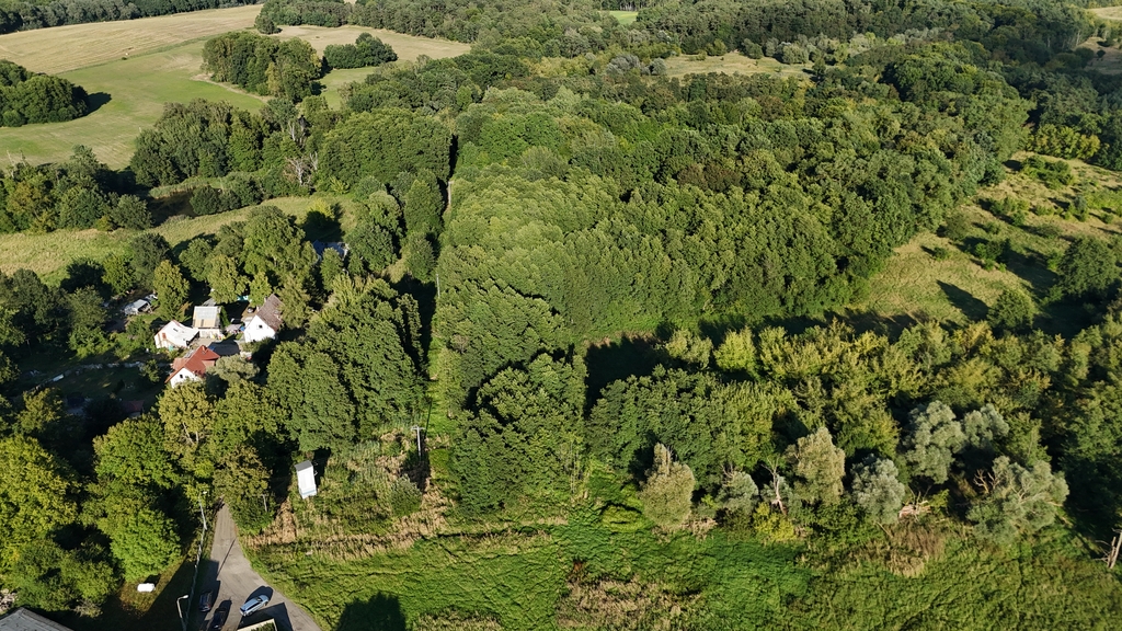 Lokal na sprzedaż Sierakowo 1 240 m2 | Arka Nieruchomości