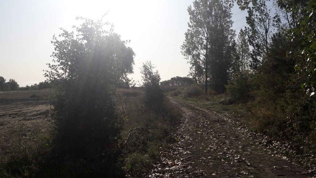 Działka na sprzedaż Kołbaskowo 25 244 m2 | Arka Nieruchomości