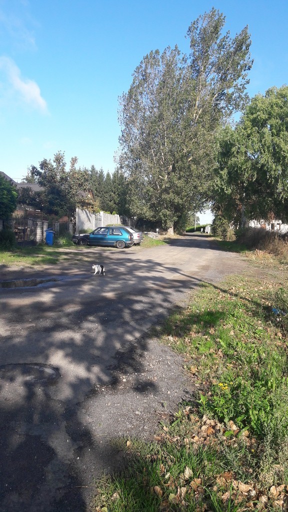 Działka na sprzedaż Kołbaskowo 25 244 m2 | Arka Nieruchomości