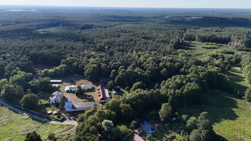 Obiekt na sprzedaż Sierakowo 1 240 m2 | Arka Nieruchomości