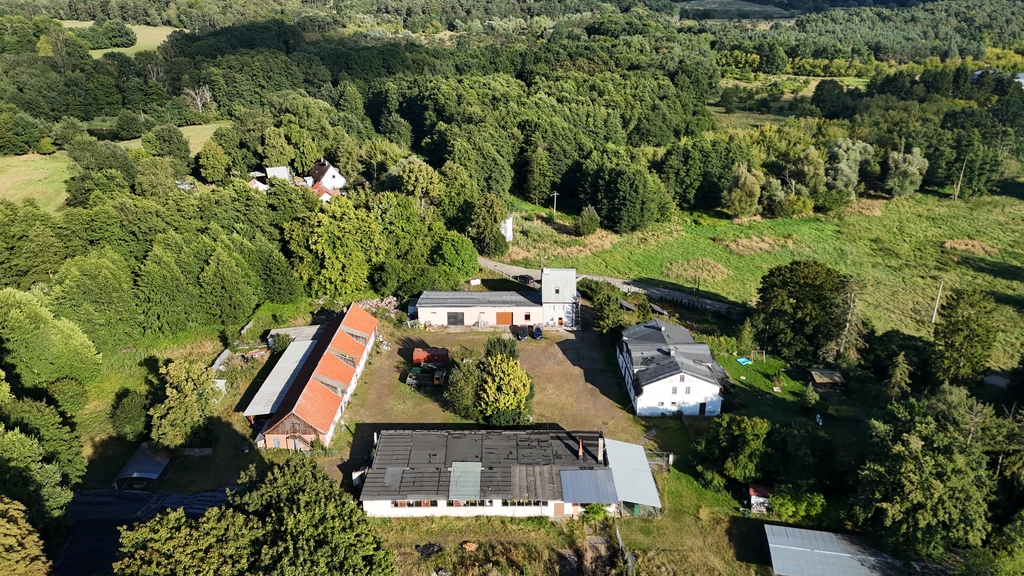 Obiekt na sprzedaż Sierakowo 1 240 m2 | Arka Nieruchomości