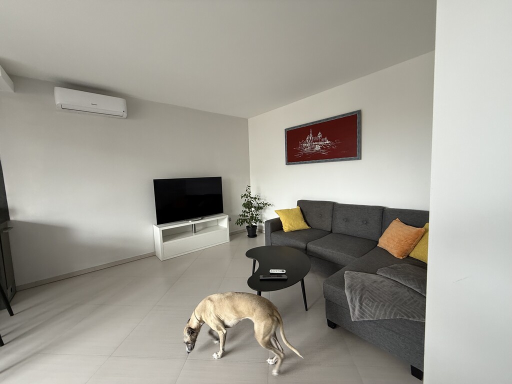Mieszkanie na wynajem Szczecin, Centrum 54 m2 | Arka Nieruchomości