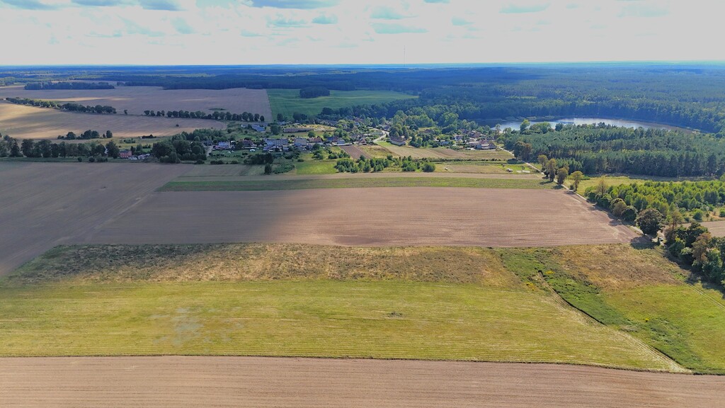 Działka na sprzedaż Rutwica 29 800 m2 | Arka Nieruchomości