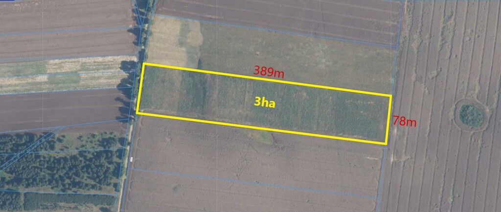 Działka na sprzedaż Rutwica 29 800 m2 | Arka Nieruchomości