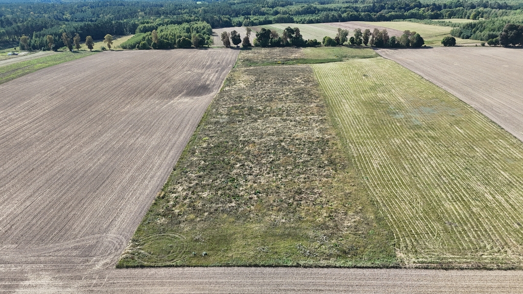Działka na sprzedaż Rutwica 29 800 m2 | Arka Nieruchomości