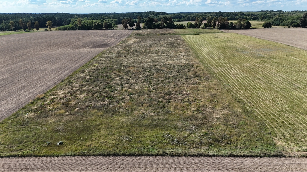 Działka na sprzedaż Rutwica 29 800 m2 | Arka Nieruchomości