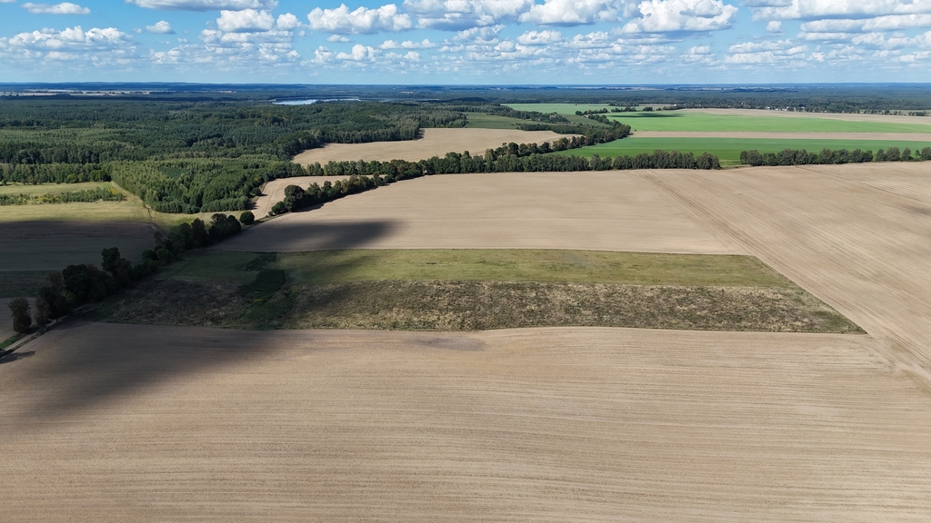 Działka na sprzedaż Rutwica 29 800 m2 | Arka Nieruchomości