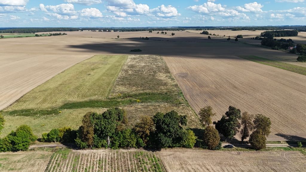 Działka na sprzedaż Rutwica 29 800 m2 | Arka Nieruchomości