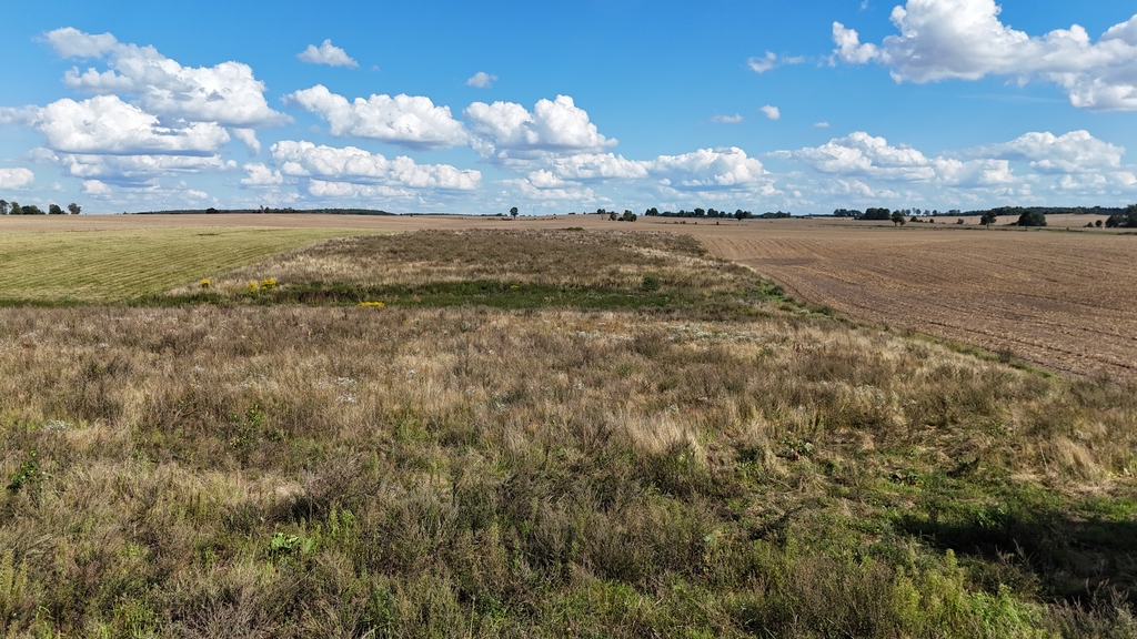 Działka na sprzedaż Rutwica 29 800 m2 | Arka Nieruchomości
