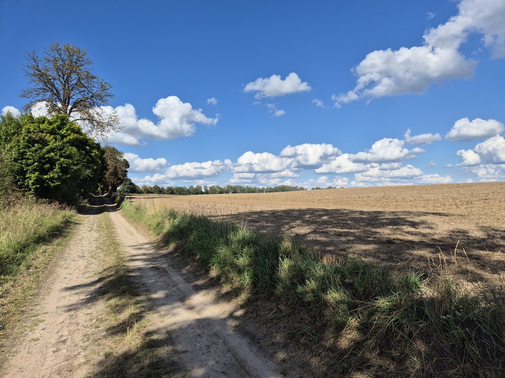 Działka na sprzedaż Rutwica 29 800 m2 | Arka Nieruchomości