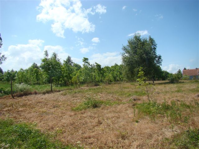 Działka na sprzedaż Stargard 1 024 m2 | Arka Nieruchomości