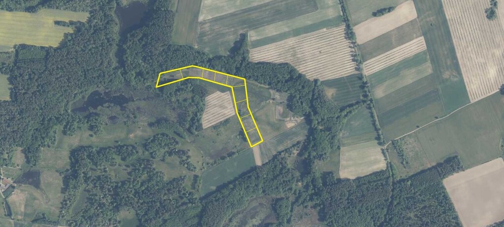 Działka na sprzedaż Strzaliny 3 000 m2 | Arka Nieruchomości