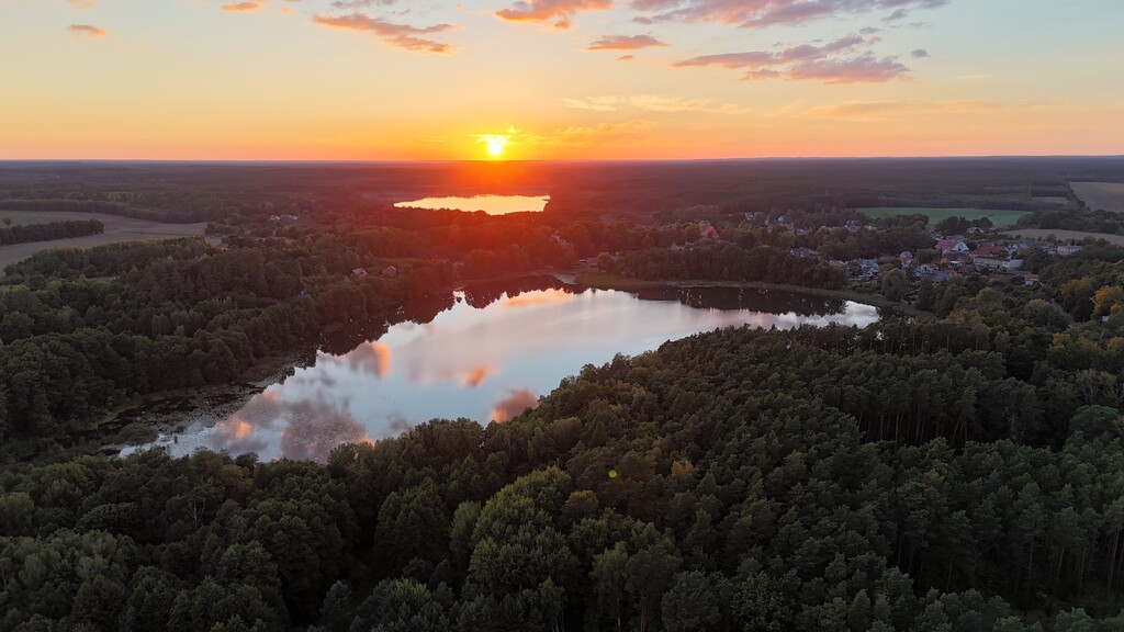 Działka na sprzedaż Strzaliny 3 000 m2 | Arka Nieruchomości