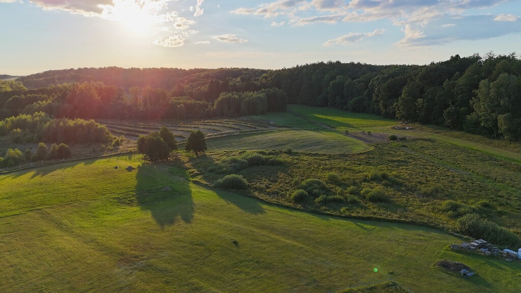Działka na sprzedaż Strzaliny 3 000 m2 | Arka Nieruchomości