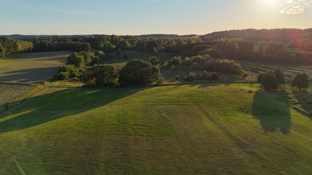 Działka na sprzedaż Strzaliny 3 000 m2 | Arka Nieruchomości