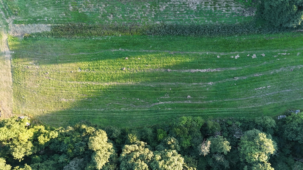 Działka na sprzedaż Strzaliny 3 000 m2 | Arka Nieruchomości