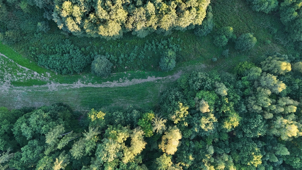 Działka na sprzedaż Strzaliny 3 000 m2 | Arka Nieruchomości