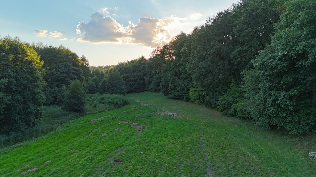 Działka na sprzedaż Strzaliny 3 000 m2 | Arka Nieruchomości