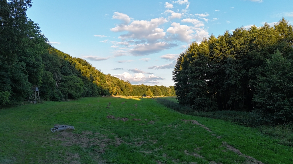 Działka na sprzedaż Strzaliny 3 000 m2 | Arka Nieruchomości