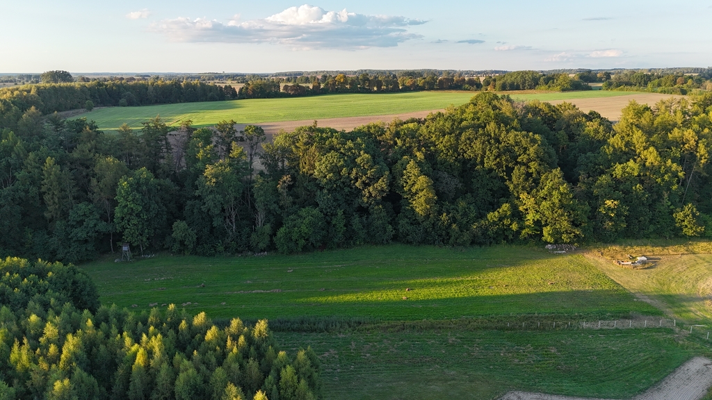 Działka na sprzedaż Strzaliny 3 000 m2 | Arka Nieruchomości