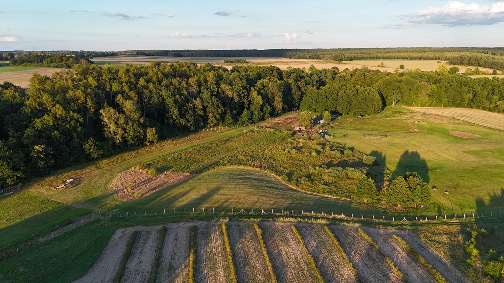 Działka na sprzedaż Strzaliny 3 000 m2 | Arka Nieruchomości