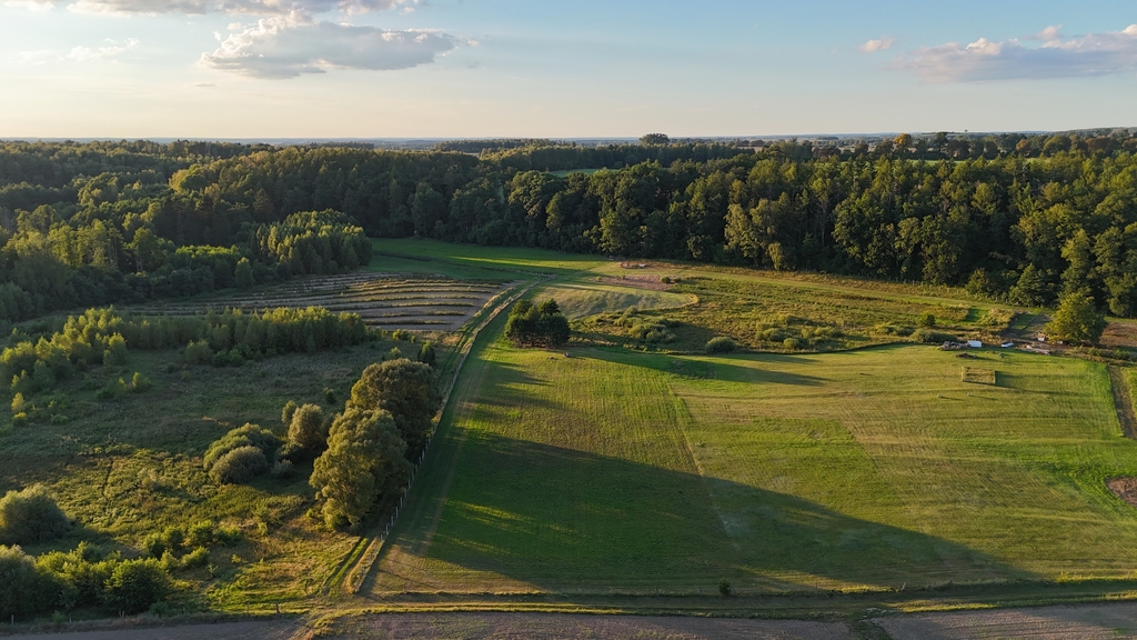 Działka na sprzedaż Strzaliny 3 000 m2 | Arka Nieruchomości