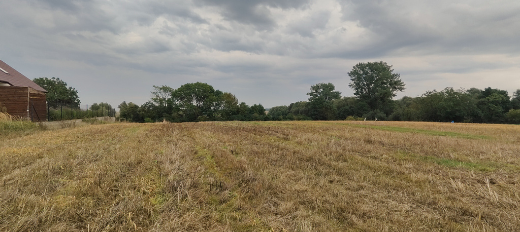 Działka na sprzedaż Barnisław 2 438 m2 | Arka Nieruchomości