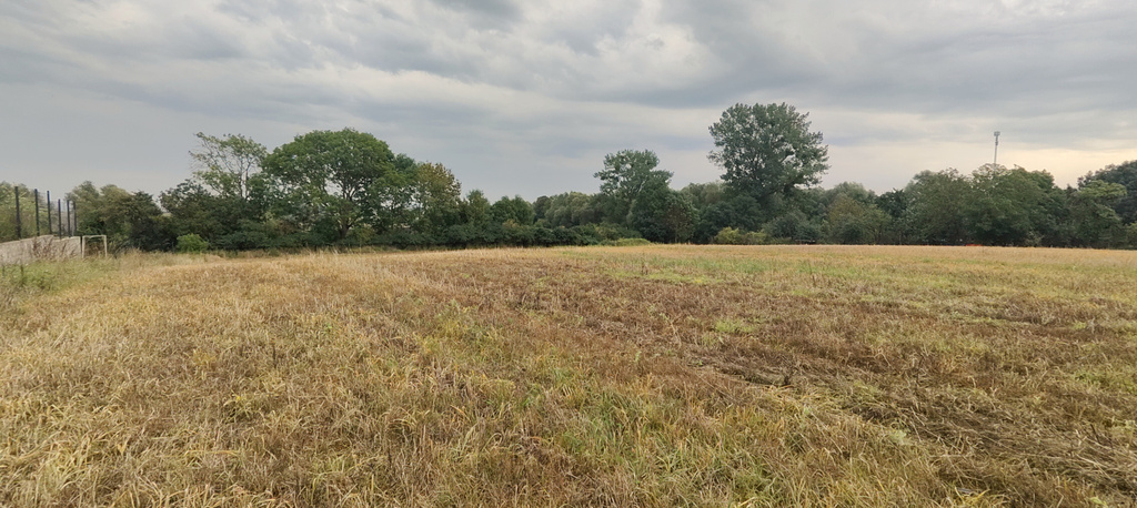 Działka na sprzedaż Barnisław 2 438 m2 | Arka Nieruchomości