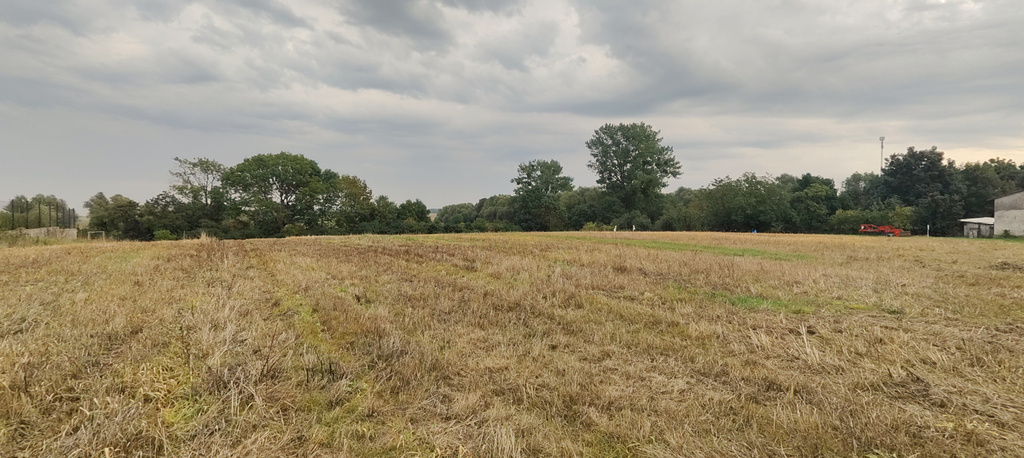 Działka na sprzedaż Barnisław 2 438 m2 | Arka Nieruchomości