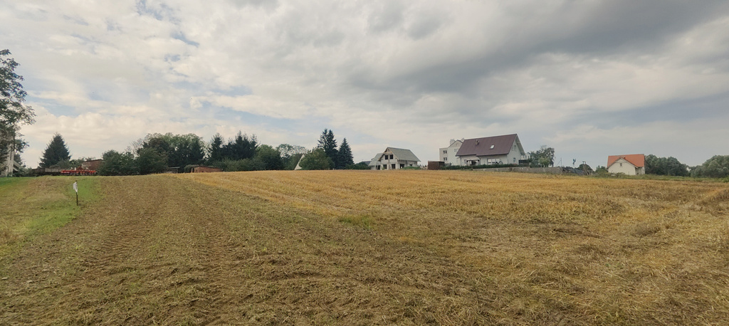 Działka na sprzedaż Barnisław 2 438 m2 | Arka Nieruchomości