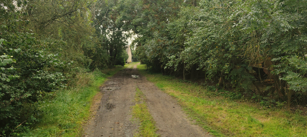 Działka na sprzedaż Barnisław 2 438 m2 | Arka Nieruchomości