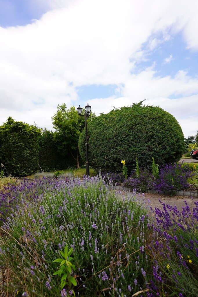 Działka na sprzedaż Gorzów Wielkopolski 1 185 m2 | Arka Nieruchomości