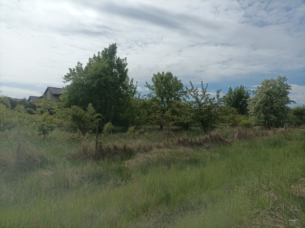 Działka na sprzedaż Wołczkowo 760 m2 | Arka Nieruchomości