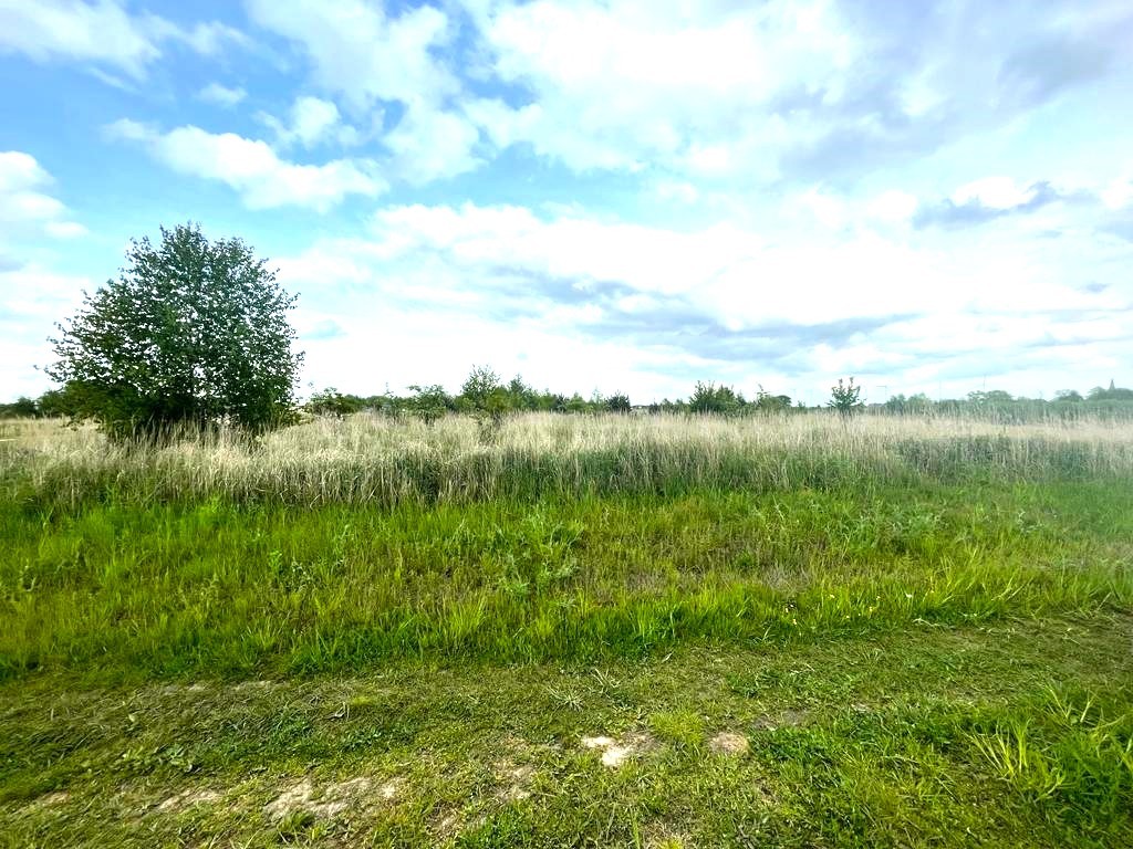 Działka na sprzedaż Kłodowo 1 035 m2 | Arka Nieruchomości
