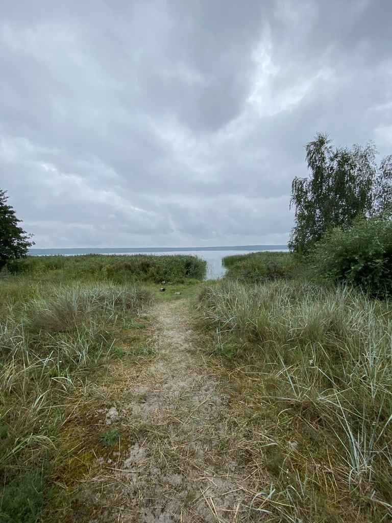 Działka na sprzedaż Nowe Warpno 1 164 m2 | Arka Nieruchomości