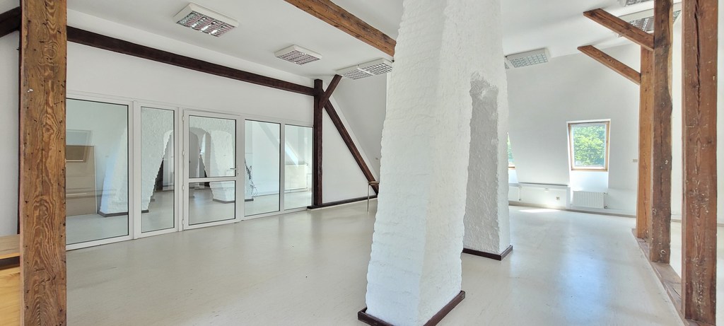Lokal na wynajem Szczecin, Jasne Błonia 170 m2 | Arka Nieruchomości