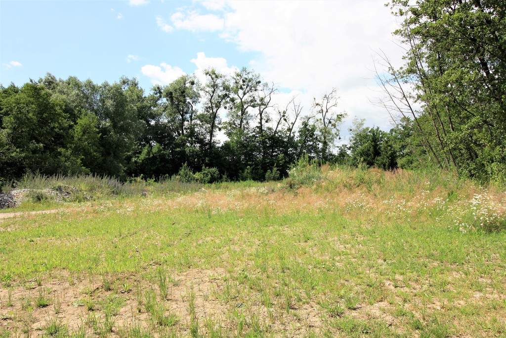 Dom na sprzedaż Choszczno 55 m2 | Arka Nieruchomości