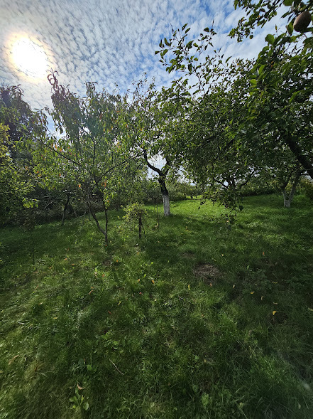 Dom na sprzedaż Lisie Pole 140 m2 | Arka Nieruchomości